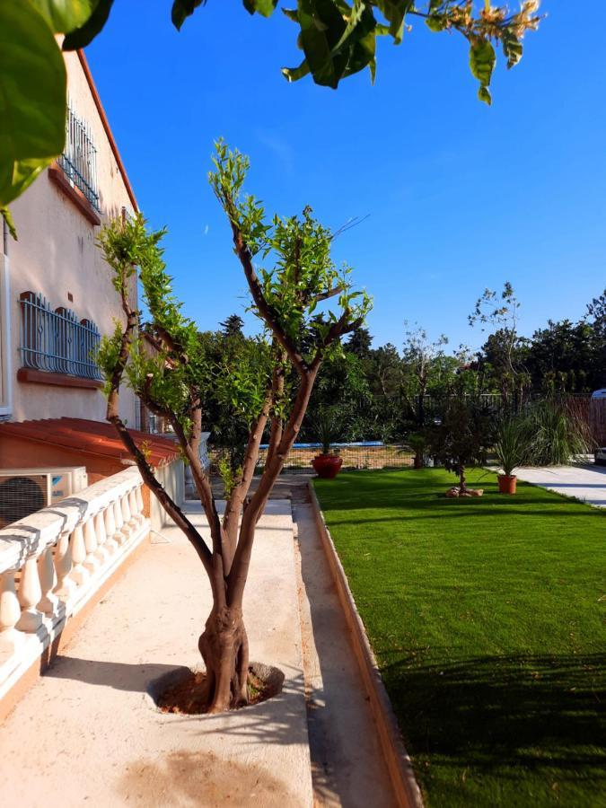 Domaine Des Pins Villa Saint-Esteve  Exterior photo